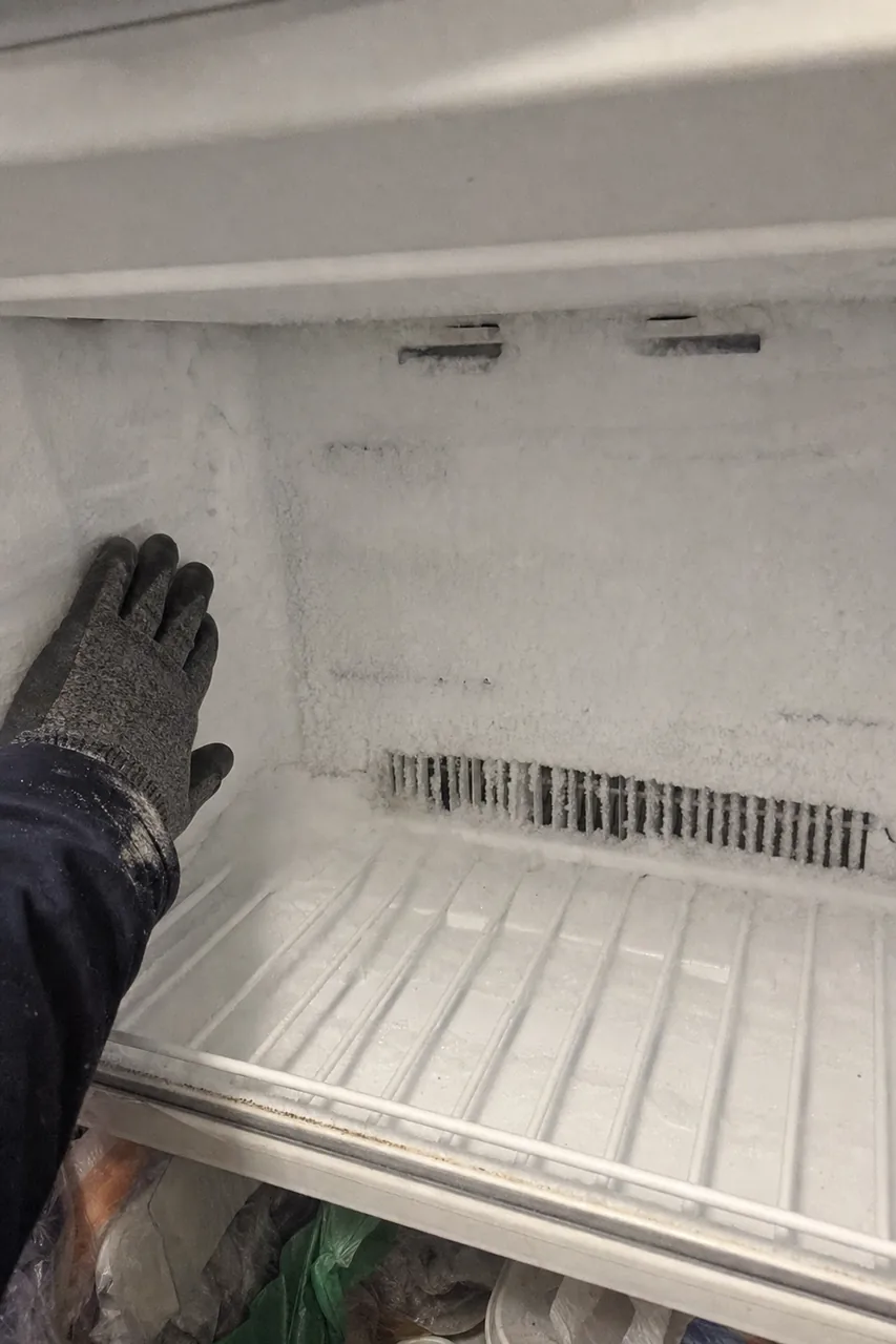 The inside of a freezer compartment walled in white frost, a gloved hand resting against the iced-over rear panel above a frozen shelf